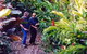 Milkwood Lodge - thumb 1