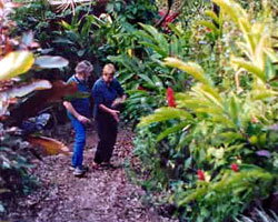 Milkwood Lodge - Tourism Brisbane 1