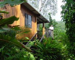 Milkwood Lodge - Tourism Brisbane 2