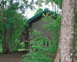 Lions Den Hotel - Tourism Brisbane 4