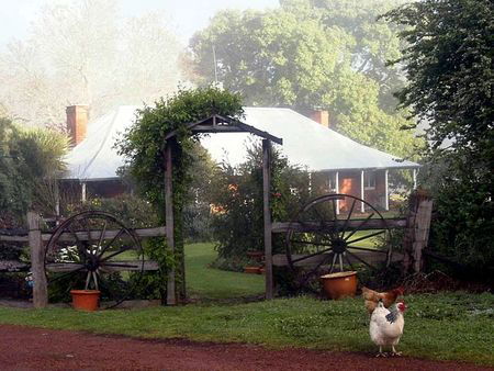 Clover Cottage Country Retreat - Brisbane Tourism 4