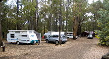 Lake Navarino Holiday Park - Tourism Brisbane 3