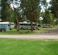 Harvey Rainbow Caravan Park - Brisbane 4u