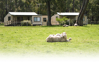 Cambray Cottages - Tourism Brisbane 1
