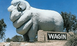 Wagin Motel - Brisbane 4u 0