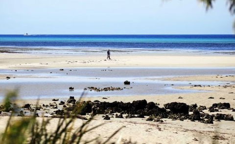 Halcyon Bay - Brisbane Tourism 5
