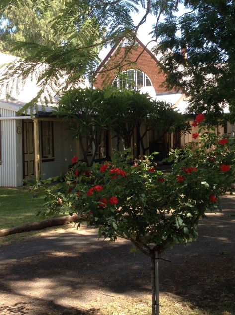 Bourke Riverside Motel - Tourism Brisbane 7