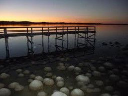 Lake Clifton Caravan Park - Tourism Brisbane 0