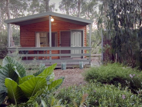 A Maze'N Things Holiday Park And Motel - Tourism Brisbane 2