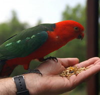 Barrington Tops Escapes - Tourism Brisbane