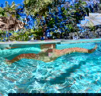 BIG4 Ballina Headlands Holiday Park - Brisbane Tourism