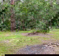 Blue Gum Flat campground - Brisbane Tourism