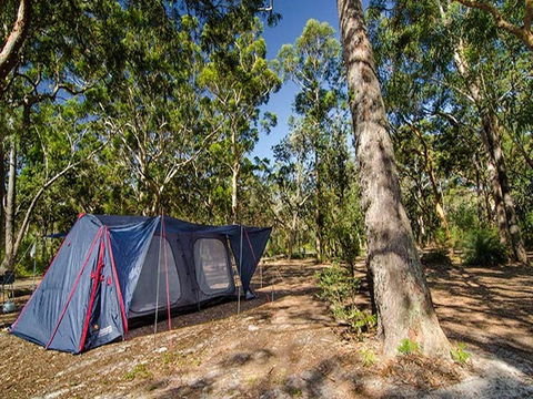 Boomeri Campground - Brisbane Tourism 1
