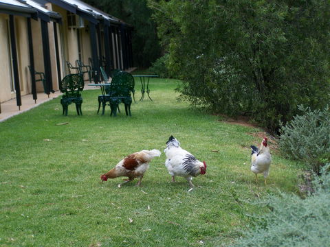 Burra Motor Inn - Brisbane 4u 2