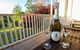 Catho Cottage - thumb 2