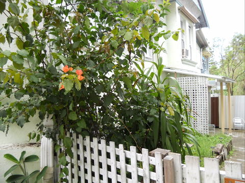 Chatswood Inn - Brisbane 4u 1