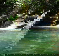 Daintree Secrets Rainforest Sanctuary - Brisbane 4u