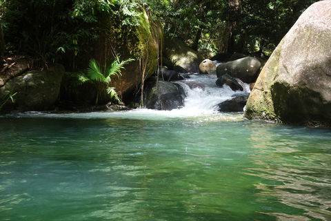 Daintree Secrets Rainforest Sanctuary - Brisbane 4u 0