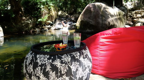 Daintree Secrets Rainforest Sanctuary - Brisbane 4u 1