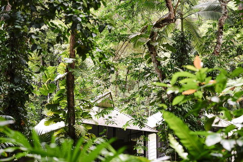 Daintree Ecolodge - Brisbane Tourism 0