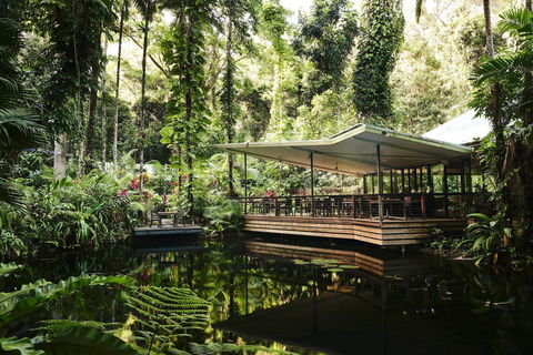 Daintree Ecolodge - Brisbane Tourism 1