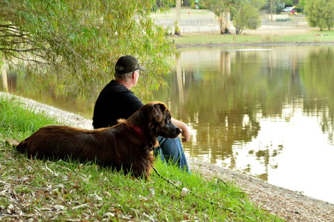 Diamond Forest Farm Stay - Brisbane Tourism 2