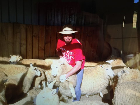 Farm Accommodation - Tourism Brisbane 2