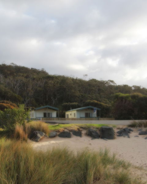 Kennett River Holiday Park - Brisbane 4u 0