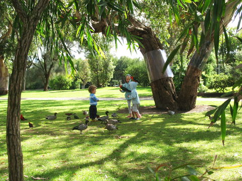 Kennett River Holiday Park - Brisbane 4u 1
