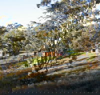 Molly's Chase - Tourism Brisbane