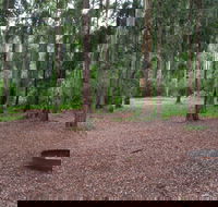 Murphys Glen campground - Tourism Brisbane
