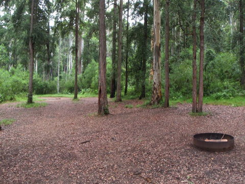 Murphys Glen Campground - Tourism Brisbane 0