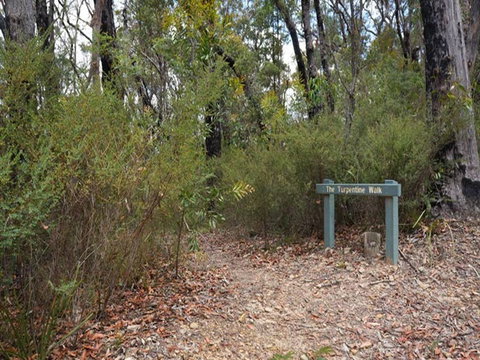 Murphys Glen Campground - Tourism Brisbane 2