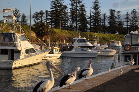 Nautica Accommodation Gerringong - Brisbane 4u 2