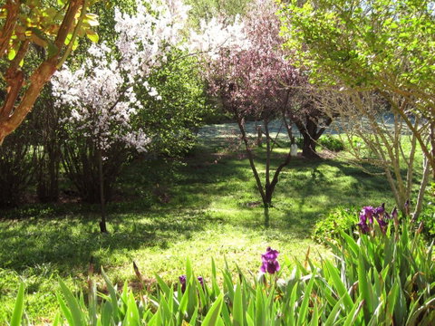Sofala Cottage - Brisbane Tourism 0