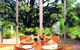 Southern Ocean Retreats - Ridgetop Retreats - thumb 2