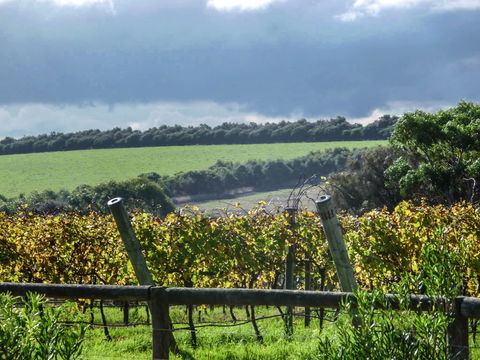 Suma Park Estate - Tourism Brisbane 1