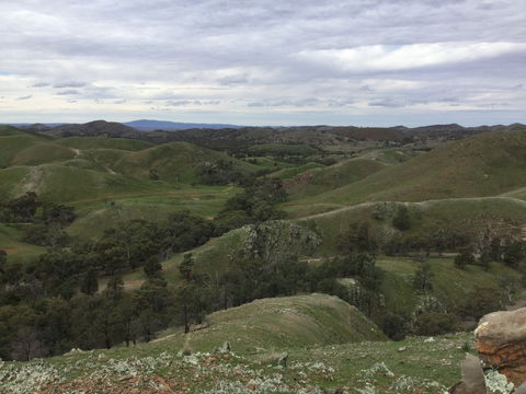 Three Creeks - Brisbane 4u 0