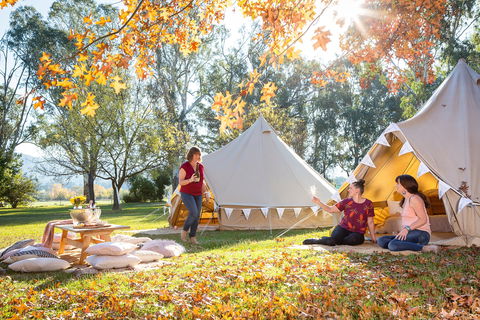 Valley View Glamping - Tourism Brisbane 0