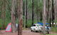 Wallingat River Campground - thumb 0