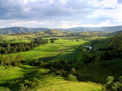 Water Gums Retreat - Tourism Brisbane 1