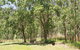 Youdales Hut Campground And Picnic Area - thumb 0