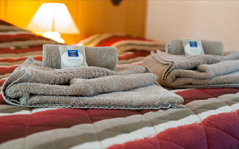 Angaston Vineyards Motel - Brisbane Tourism 1