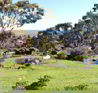 Austiny Bed and Breakfast - Tourism Brisbane