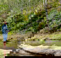 Bass Lodge - Brisbane Tourism
