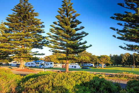 Beachport Caravan Park - Brisbane Tourism 1