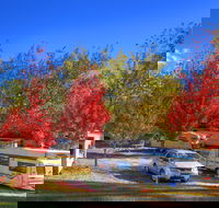 Beechworth Lake Sambell Caravan Park