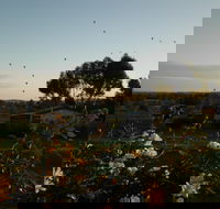 Belubula Cottage Canowindra - Tourism Brisbane