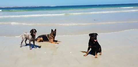 BIG4 Warrnambool Figtree Holiday Park - Brisbane 4u 2
