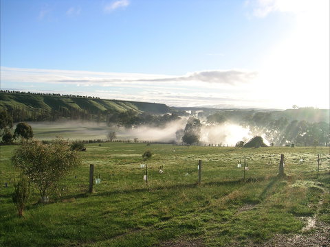 Celestine House - Tourism Brisbane 1